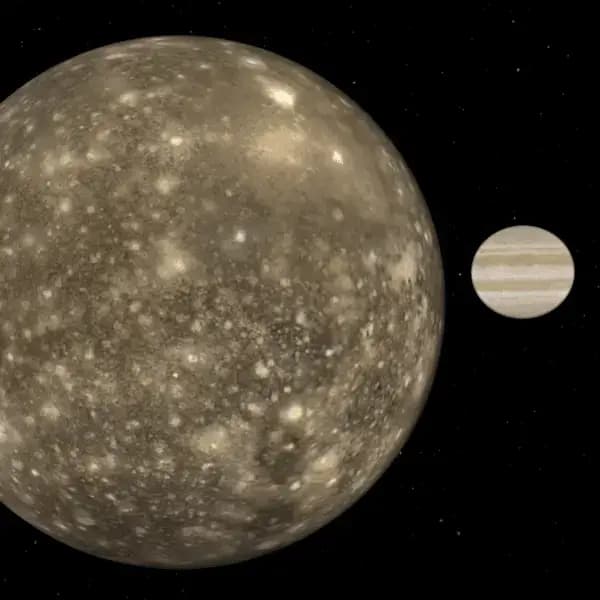 Activité Callisto 2