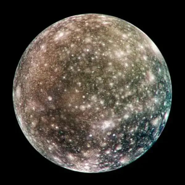 callistolune-65c09a6dceb52