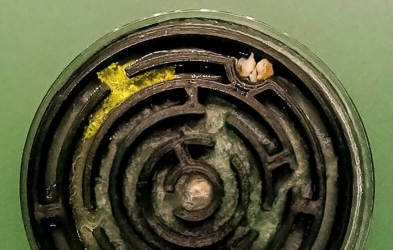 labyrinthe_blob-659bda0f3657a