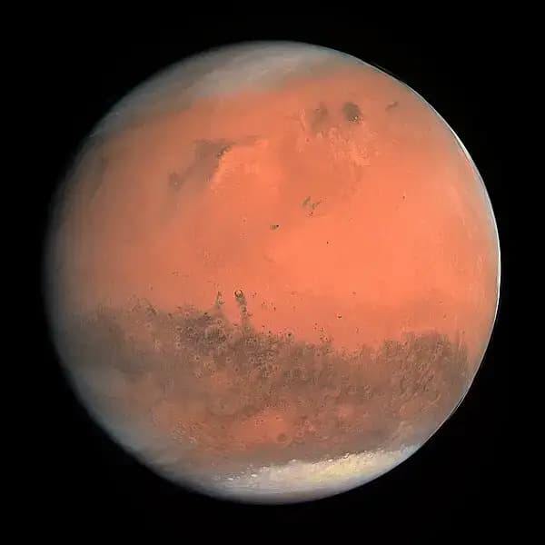 Activité Mars 2