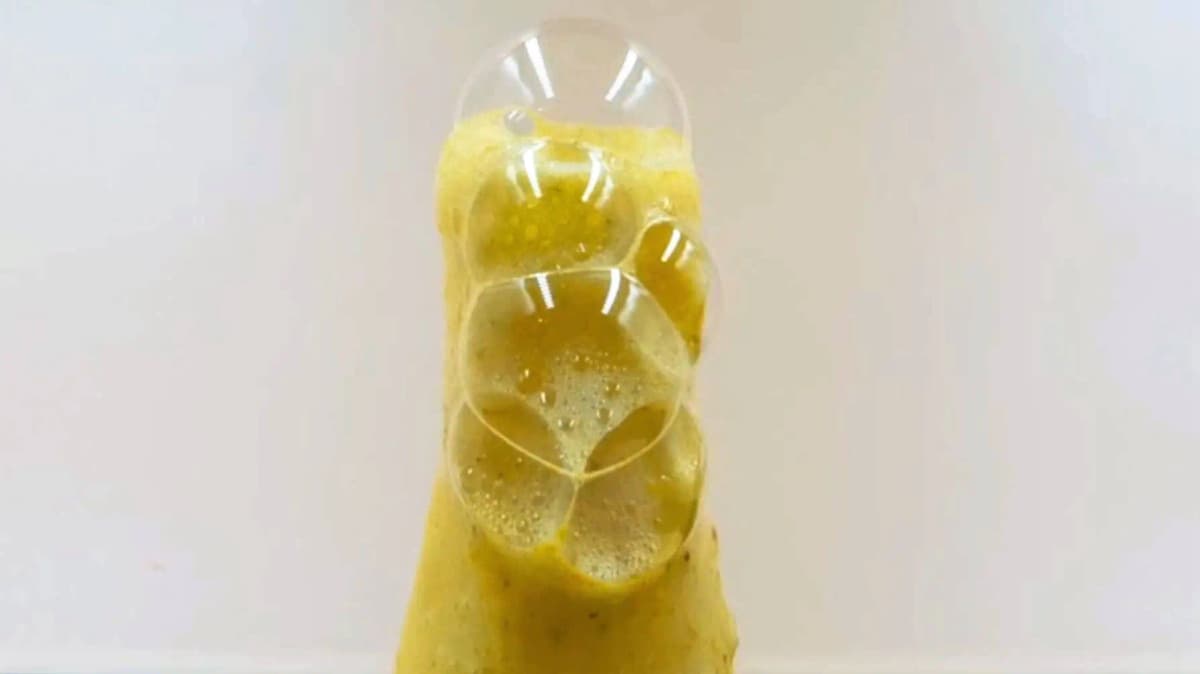 Activité Avalanche de mousse 4