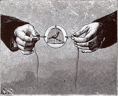 Activité Le thaumatrope 4