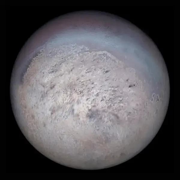 triton-65b2d4b236042