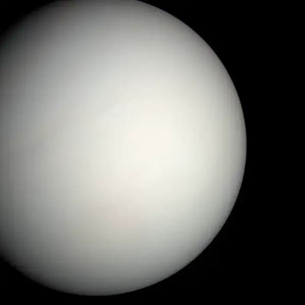 Activité Vénus 3