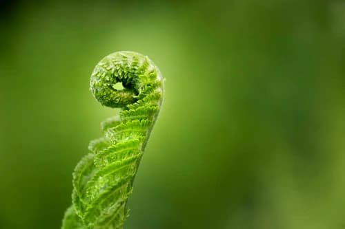 universnature-658c140449647