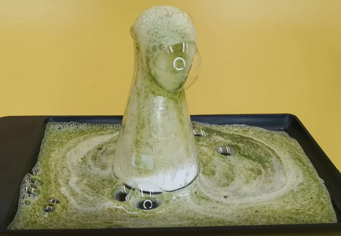 Comment s'est formée la mousse ?