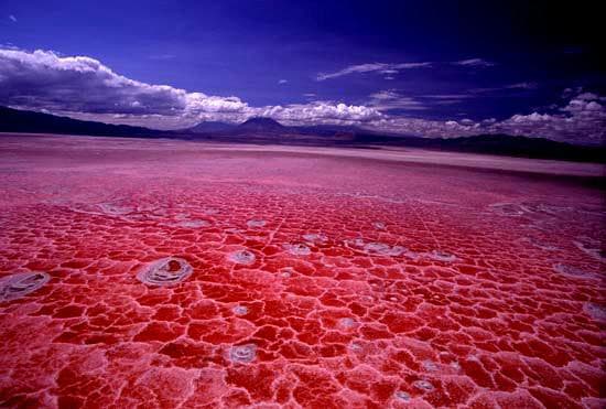 Le Lac Natron