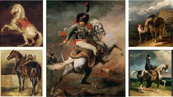 Le cheval, un sujet étudié