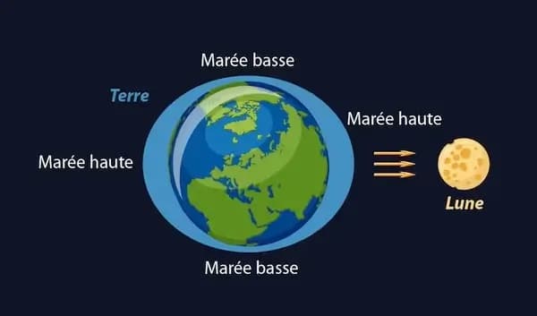 Tiens bon la voile !