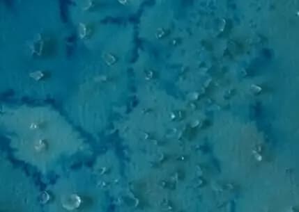 Activité Cristaux d'encre 4