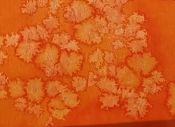 Activité Cristaux d'encre 3