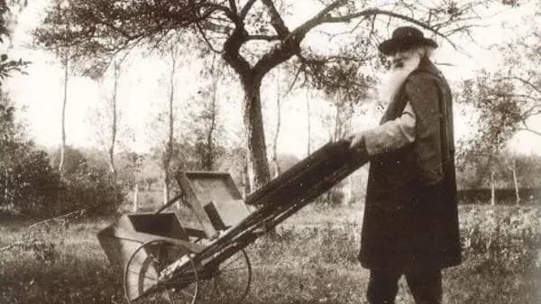 Activité Les Toits rouges 4