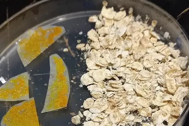 Activité Blobs en pagaille 4