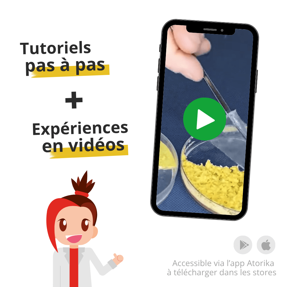 Produit Le réveil et le défi du blob 6