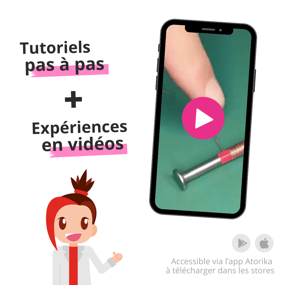 Produit L'expérience d'Oersted 5