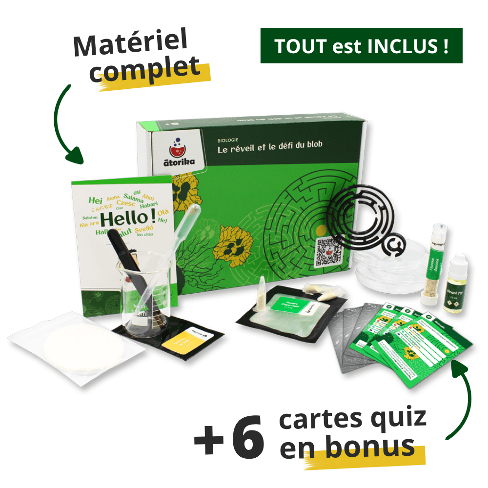 Produit Le réveil et le défi du blob 4