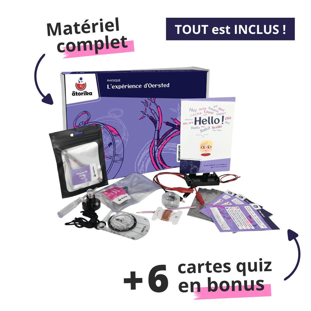 Produit L'expérience d'Oersted 4